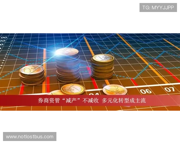 星空体育国际官网：提供全面体育数据分析与运动员信息的专业平台